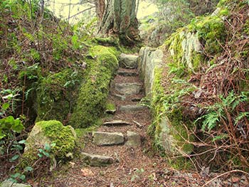 stairway-to-wilderness-hiking